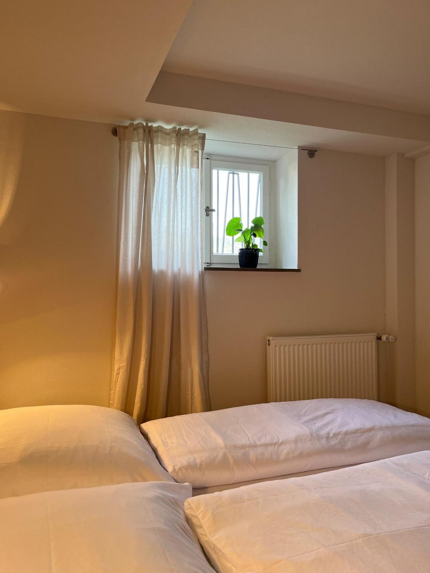 Kolberg Studio - Moderne Ferienwohnung In Boppard Eksteriør billede